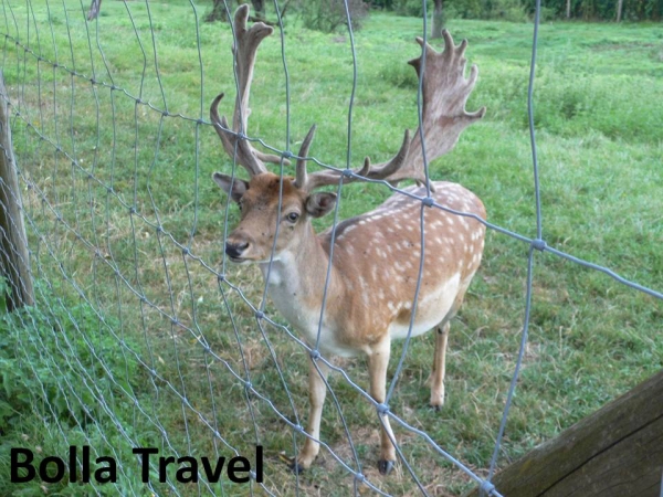 Bolla Travel112_1.jpg
